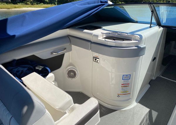 Sea-ray SDX-290-OUTBOARD image