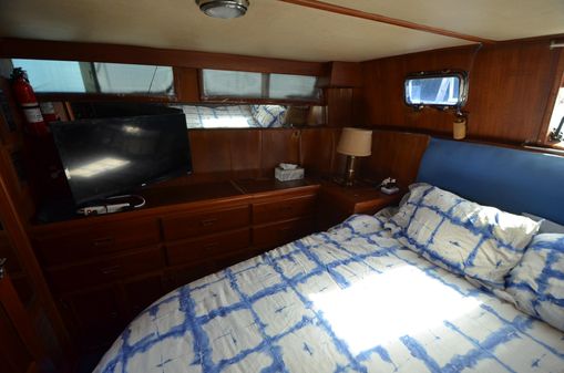Hartman-palmer SUNDECK-TRAWLER image