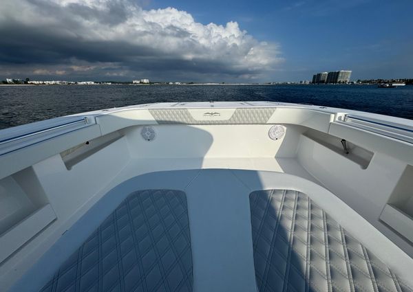 Invincible 35 Catamaran image