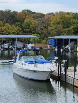 Sea Ray 400 Express Cruiser image