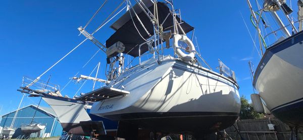 Hunter 34 image