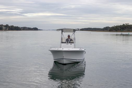 Sea Hunt Triton 210 image