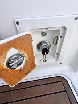 Sea Ray SDX 290 Outboard image