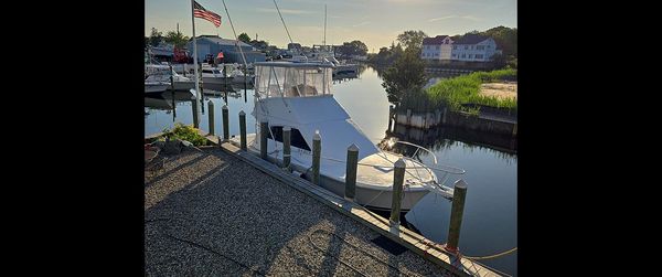 Luhrs 34 Convertible image