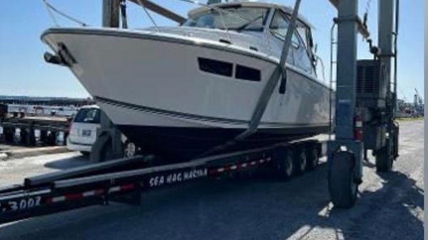 Pursuit 355