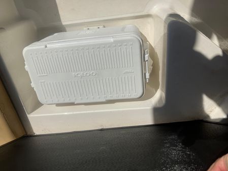 Sea Ray SPX 210 image