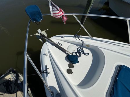 Bayliner 305 image