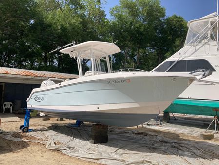 Robalo R242 Center Console image