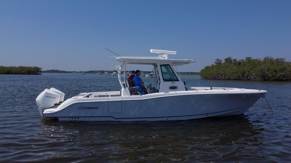 Crevalle 33 CSF