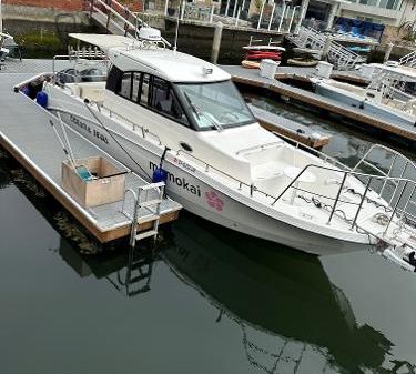 Oceania 36WA 