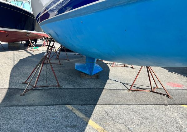 Catalina 42 image