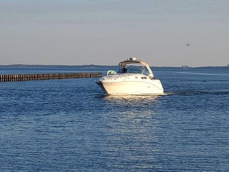Sea Ray 34DA image