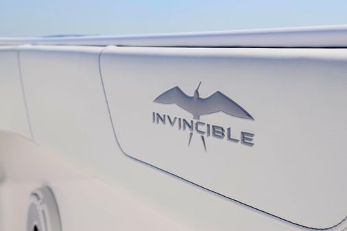 Invincible 35 Catamaran image