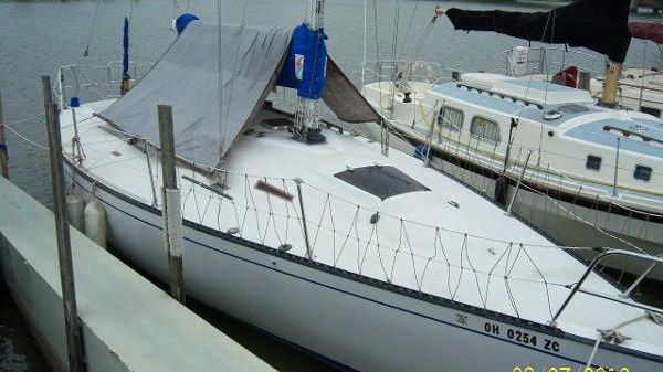 Schock 35 