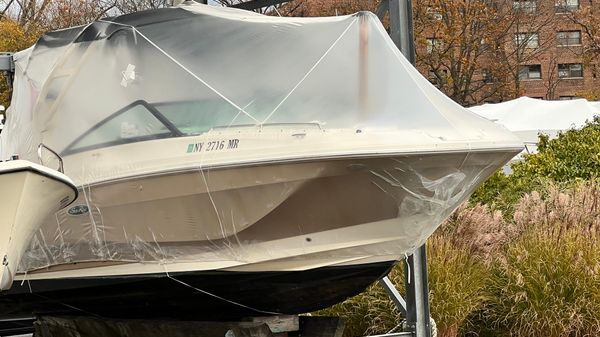 Sea Ray SDX 250