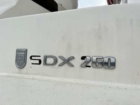 Sea Ray SDX 250 image