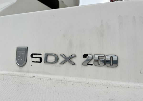 Sea-ray SDX-250 image