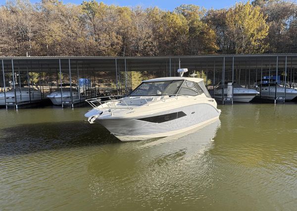 Sea Ray Sundancer 320 Outboard image