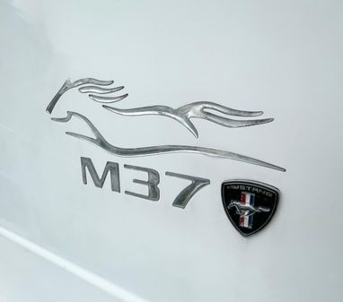 Mustang M37 Sports Flybridge image