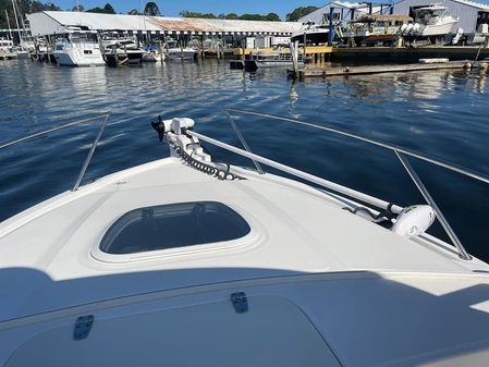 Boston-whaler 320-OUTRAGE-CUDDY-CABIN image