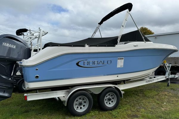 Robalo 207-DUAL-CONSOLE - main image