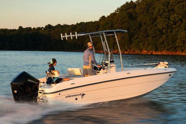 Bayliner Element F21 - main image