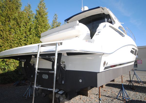 Sea Ray Sundancer 510 image