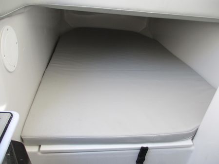 Sea Fox 328 Commander image
