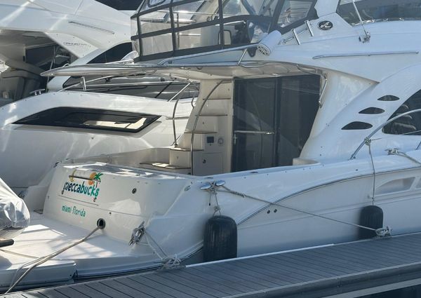 Sea Ray 52 Sedan Bridge image