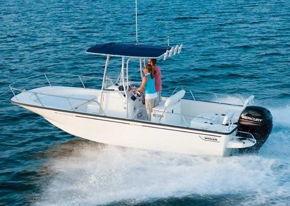Boston-whaler 210-MONTAUK image