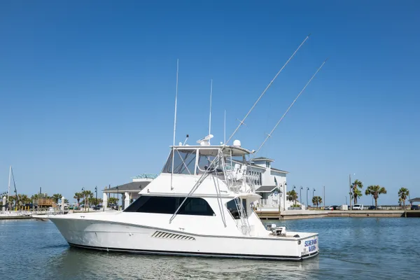 Viking 47 Convertible image