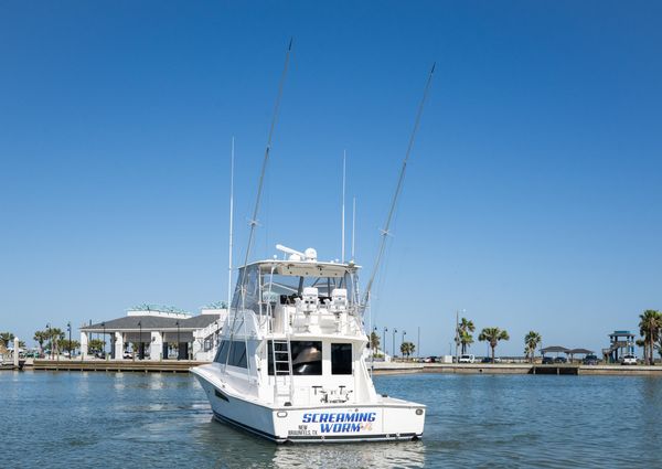 Viking 47 Convertible image