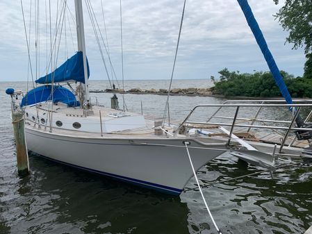 ShearWater 45 image