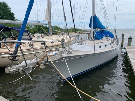 ShearWater 45 image