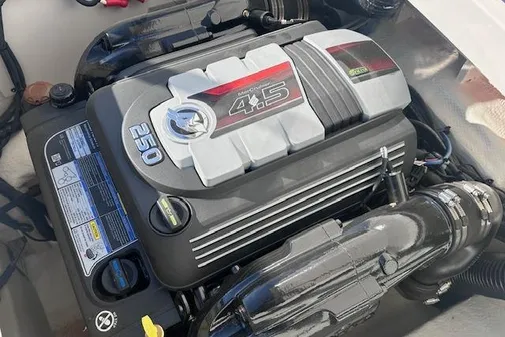 Sea Ray SPX 210 image