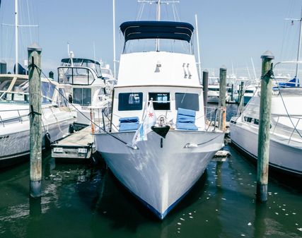 Bristol 42 Trawler image