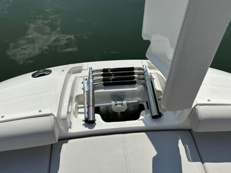 Sea Ray 250 SDX OB image