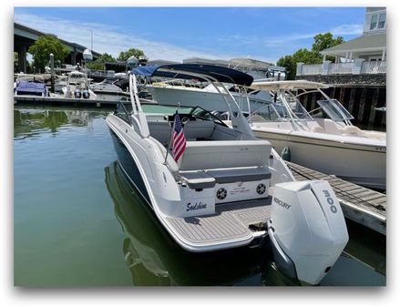 Sea Ray 250 SDX OB image