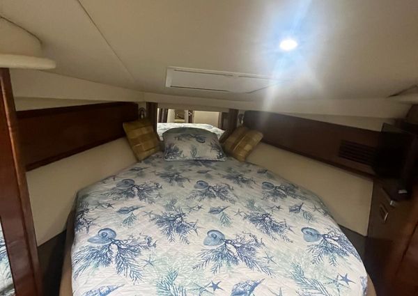 Sea Ray 40 Sundancer image