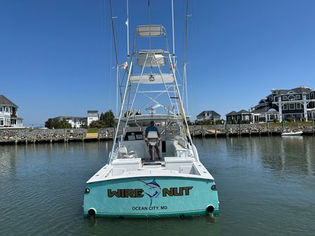 Custom Carolina 40 Express Sportfisherman image