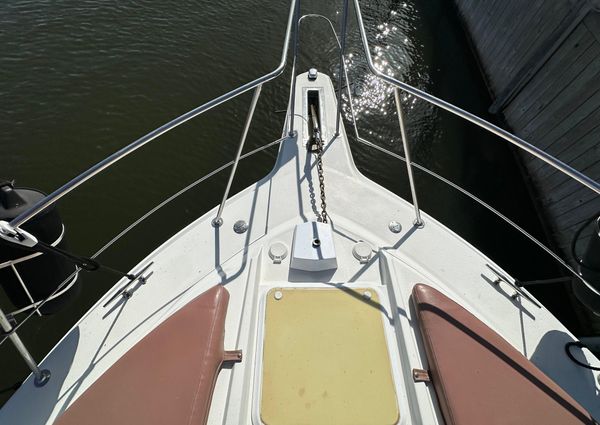 Carver 38 Santego image