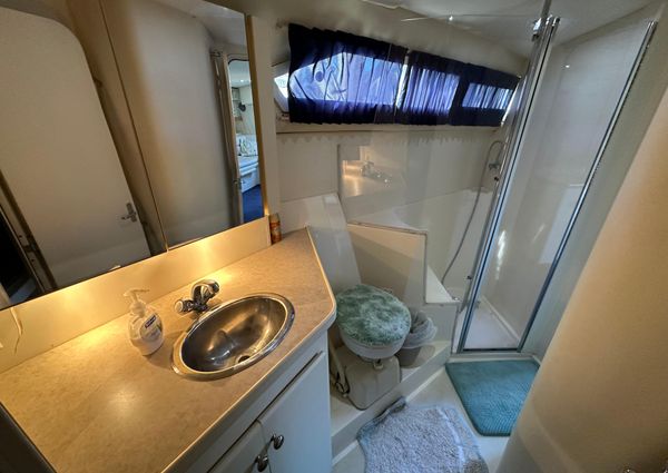 Carver 38 Santego image