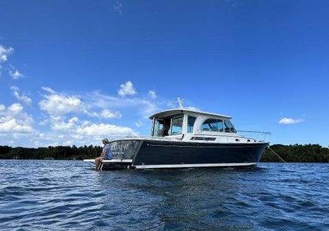 Back-cove 41 image
