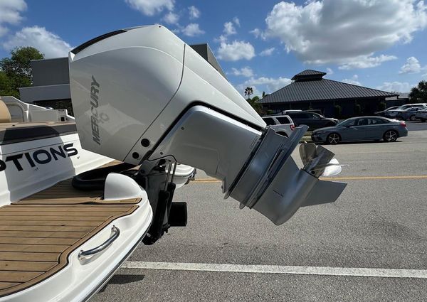 Sea-ray SDX-270-OUTBOARD image