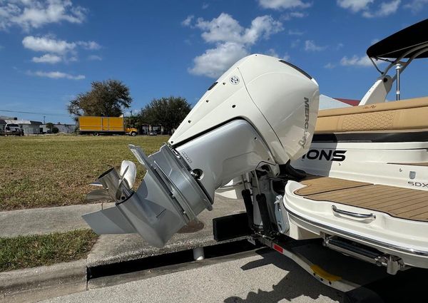 Sea-ray SDX-270-OUTBOARD image