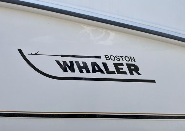 Boston-whaler 320-OUTRAGE-CUDDY-CABIN image