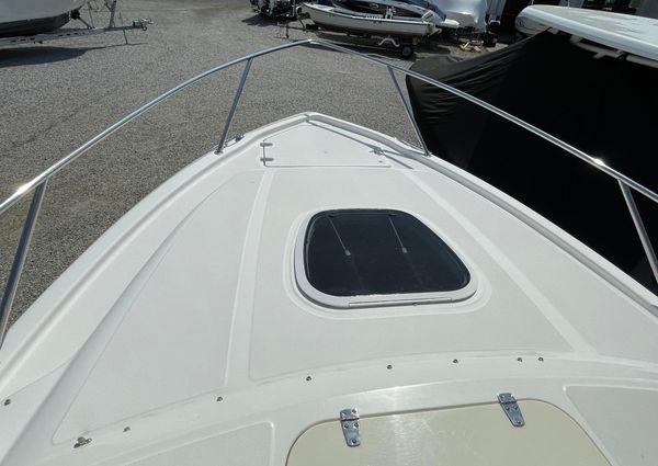 Boston-whaler 320-OUTRAGE-CUDDY-CABIN image