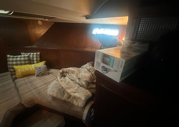 Chris-Craft Commander 42 image