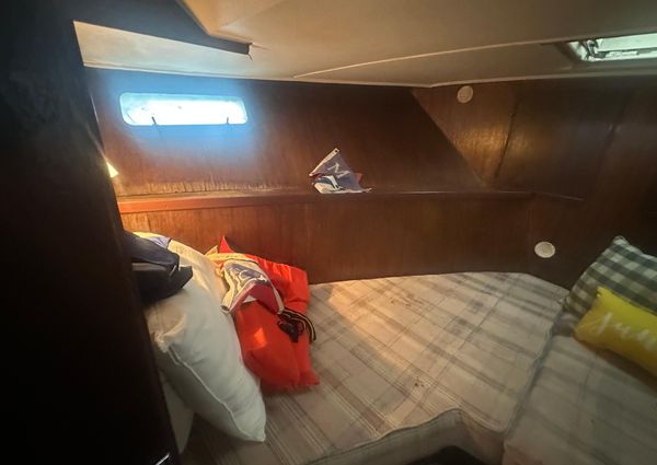 Chris-Craft Commander 42 image