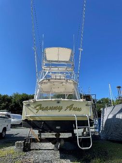 Blue Fin Custom Sportfish image